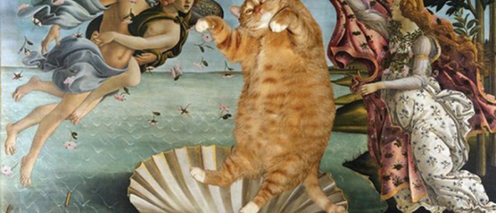 В Петербурге покажут картины с котом Заратустрой