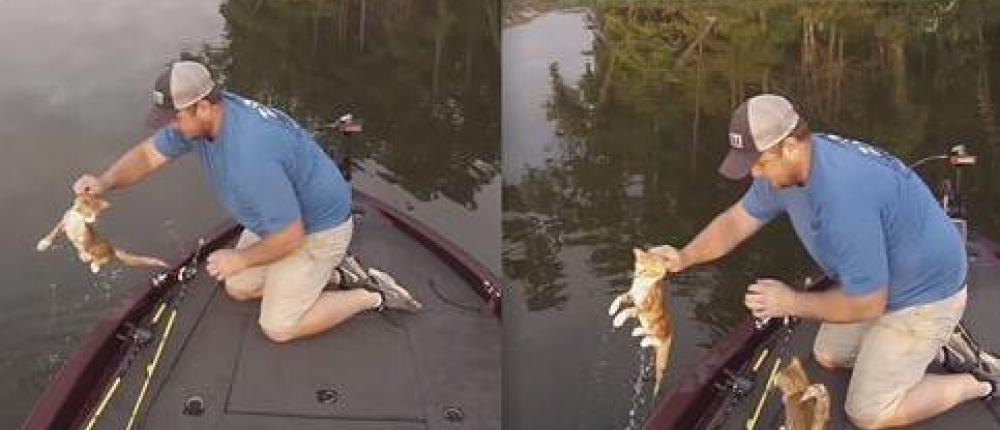 Рыбаки выловили в реке двоих котят
