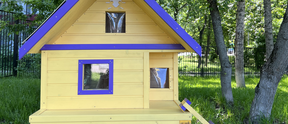 В Москве построили дом класса люкс для бездомных кошек