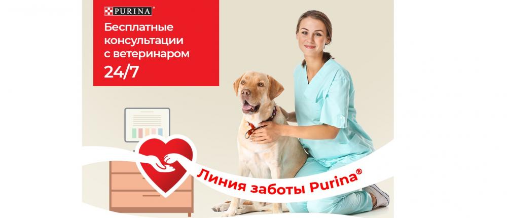 Purina запустила бесплатные онлайн-консультации с ветеринарными врачами для влад