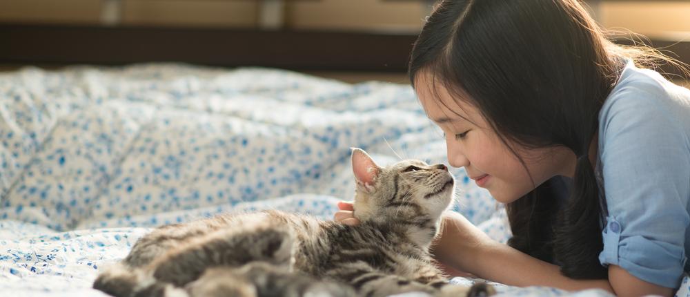 Японцы создали парфюмированную воду с запахом кошачьего лба