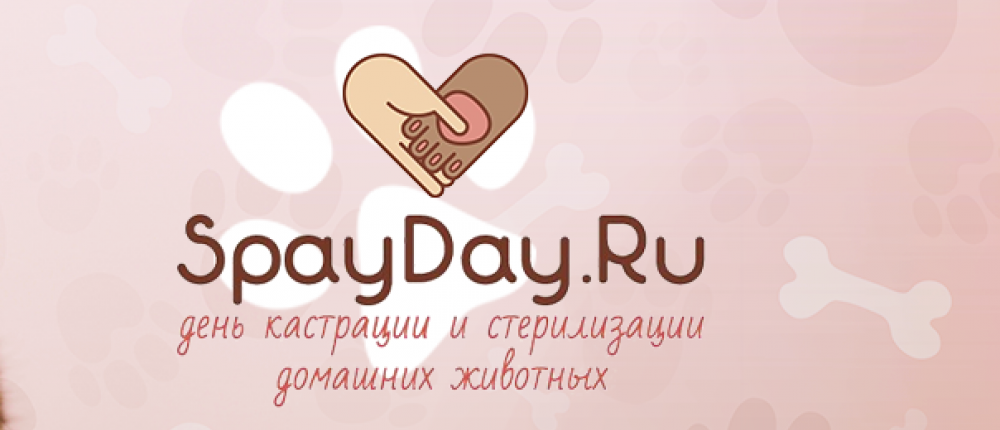 23 февраля в Санкт-Петербурге пройдет акция по льготной кастрации домашних живот