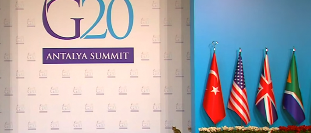 Турецкие коты приняли участие в саммите G20 в Анталье
