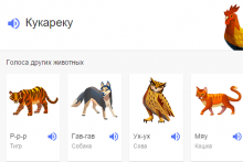 Google добавил в выдачу звуки животных