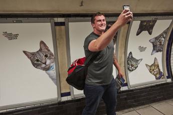 В лондонском метро появилась станция, посвященная кошкам