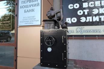 В Пензе появился «Первый кошачий банк»