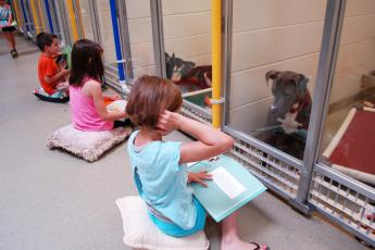 Дети читают книги приютским собакам, чтобы помочь им найти дом