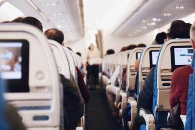 Авиакомпания Utair разрешает провоз 10 питомцев в салоне