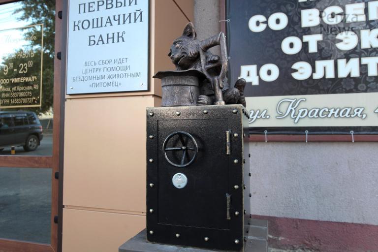 В Пензе появился «Первый кошачий банк»