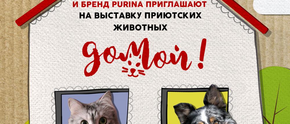 В Москве стартует серия благотворительных выставок питомцев из приютов