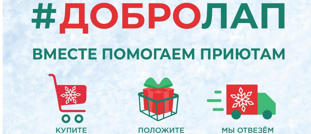Сеть зоомагазинов «Четыре Лапы» и бренд Purinа запускают акцию помощи животным и