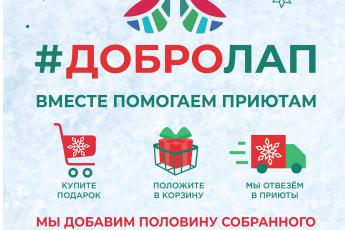 Сеть зоомагазинов «Четыре Лапы» и бренд Purinа запускают акцию помощи животным и