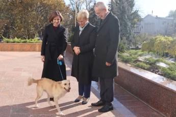 Собака Майи Санду укусила австрийского президента