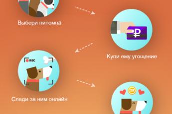 В России запустился онлайн-сервис помощи приютским животным