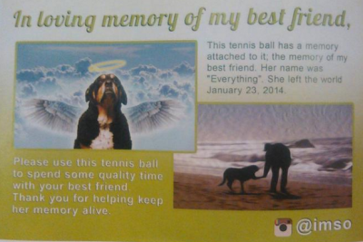 Калифорниец разослал больше сотни теннисных мячиков в память о своей собаке