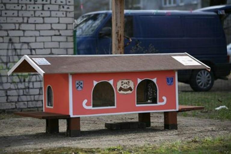 Рижанин построил целую улицу для бездомных кошек