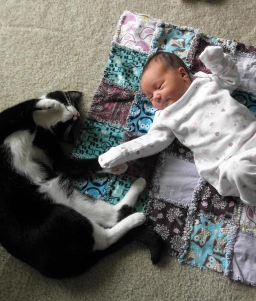 котик и ребенок